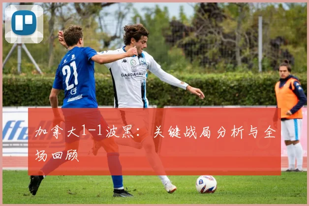 加拿大1-1波黑：关键战局分析与全场回顾